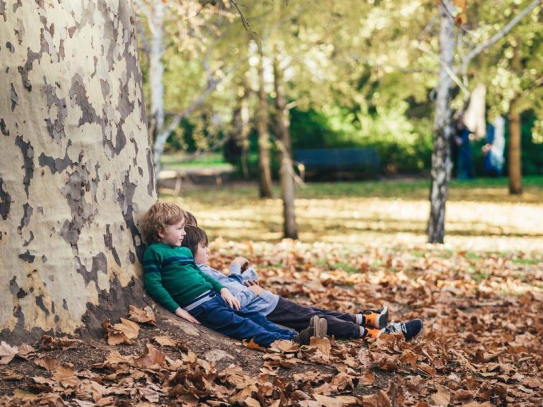 children spending time in nature below a tree