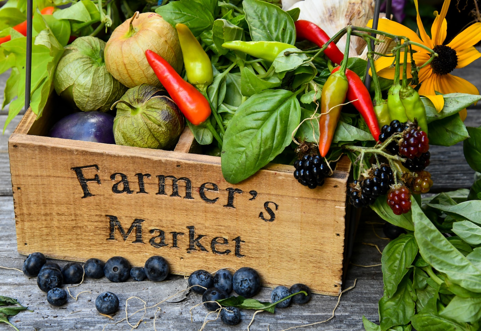 vegetables-in-basket