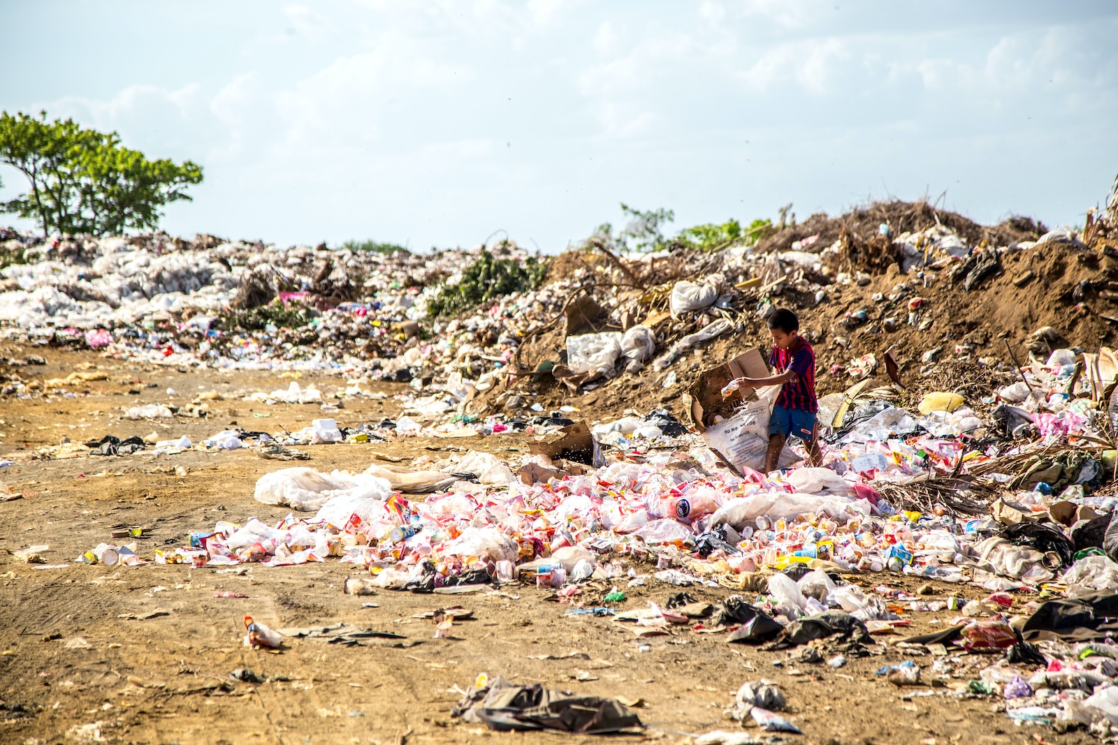 waste in landfill