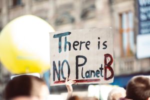 Foto von einer Klimademo mit dem Schild: There is no planet B