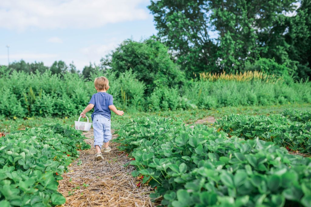 Kleines Mädchen, dass durch einen grün-bepflanzten Garten spaziert