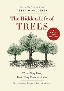 The hidden life of trees by Peter Wohlleben