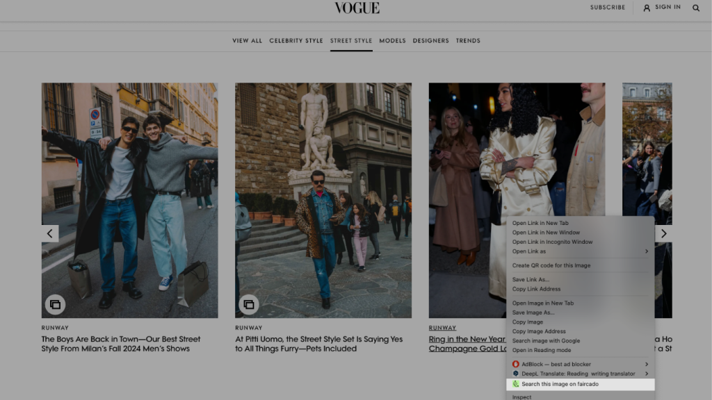 Suche Bild mit Faircado auf Vogue Website
